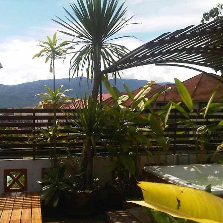Junior House Vandrehjem Chiang Mai Eksteriør billede
